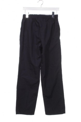 Pantaloni trening de bărbați Pro Touch, Mărime S, Culoare Albastru, Preț 30,99 Lei