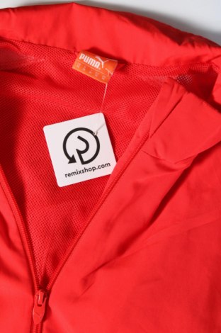 Herren Sportoberteil PUMA, Größe XL, Farbe Rot, Preis € 18,99