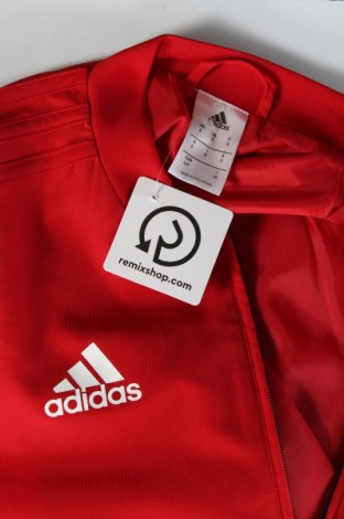 Ανδρικό μπουφάν Adidas, Μέγεθος S, Χρώμα Πολύχρωμο, Τιμή 25,99 €