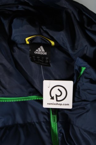 Pánská bunda  Adidas, Velikost M, Barva Modrá, Cena  1 279,00 Kč