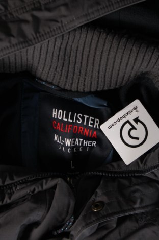 Pánska bunda  Hollister, Veľkosť L, Farba Sivá, Cena  26,75 €