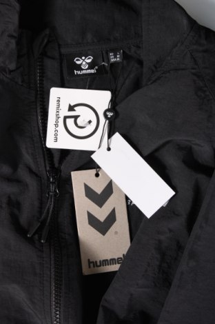 Herrenjacke Hummel, Größe L, Farbe Mehrfarbig, Preis € 21,49