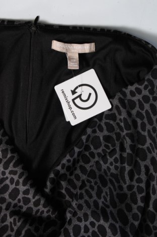 Rock Banana Republic, Größe L, Farbe Mehrfarbig, Preis € 3,99