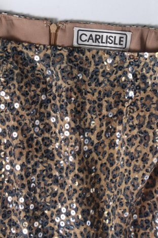 Fustă Carlisle, Mărime XS, Culoare Multicolor, Preț 22,99 Lei