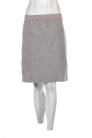 Sukňa J.Crew, Veľkosť M, Farba Viacfarebná, Cena  5,95 €