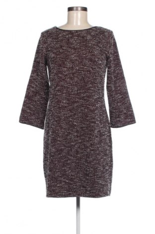 Kleid Ann Taylor, Größe S, Farbe Mehrfarbig, Preis 8,99 €