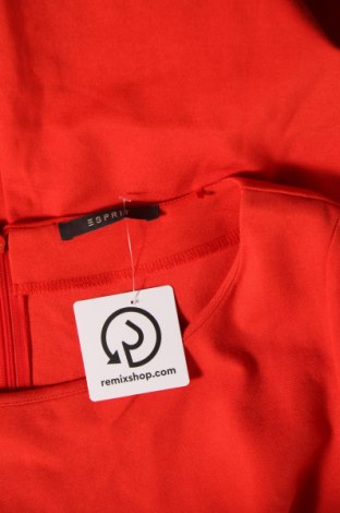 Kleid Esprit, Größe M, Farbe Orange, Preis € 5,99