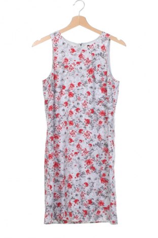 Kleid Kensie, Größe XS, Farbe Mehrfarbig, Preis € 33,79