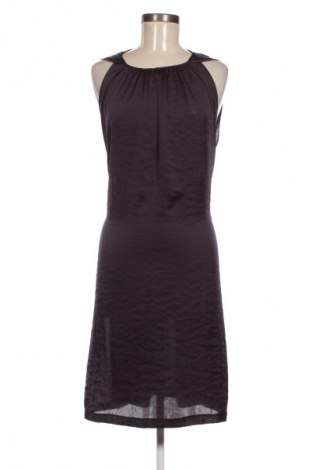 Kleid Sisley, Größe M, Farbe Lila, Preis € 29,99