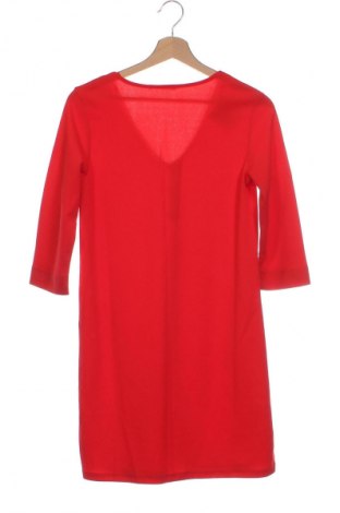 Kleid Terranova, Größe XS, Farbe Rot, Preis 3,49 €