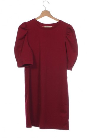 Kleid Terranova, Größe XS, Farbe Rot, Preis € 3,99