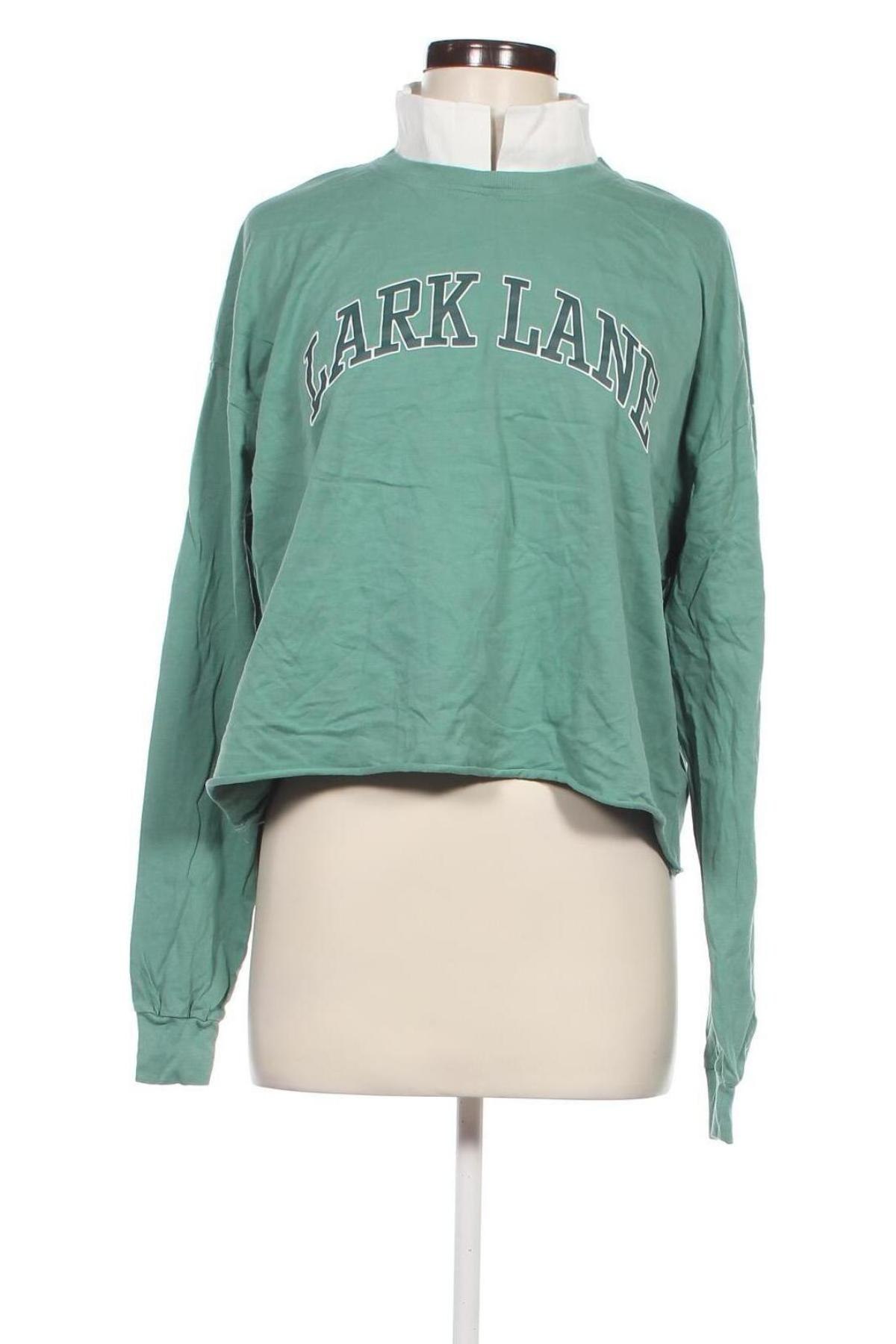 Damen Shirt Bershka, Größe L, Farbe Grün, Preis € 3,99