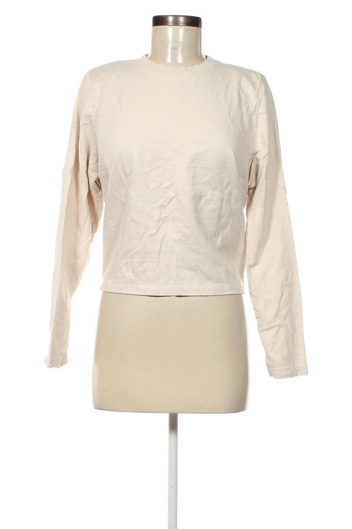 Damen Shirt Eksept, Größe XL, Farbe Beige, Preis 4,99 €