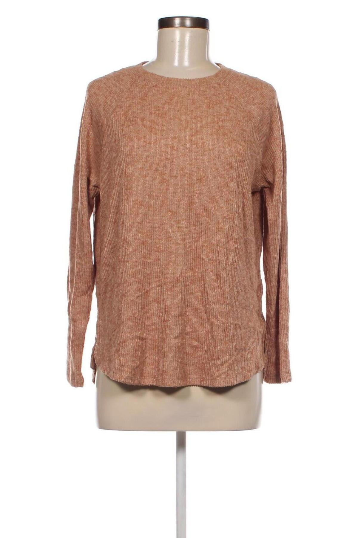 Damen Shirt Seed, Größe S, Farbe Braun, Preis € 5,99