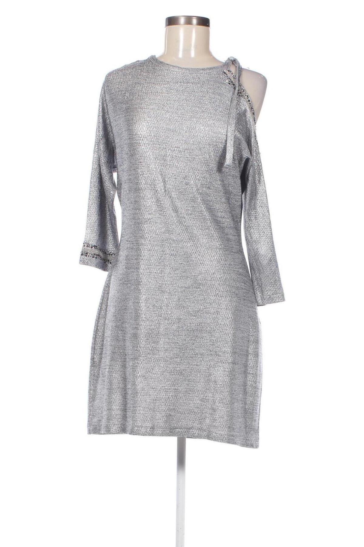 Kleid Sogo, Größe L, Farbe Silber, Preis € 5,99