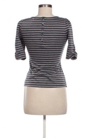 Damen Shirt 365 Sunshine, Größe S, Farbe Mehrfarbig, Preis € 9,72