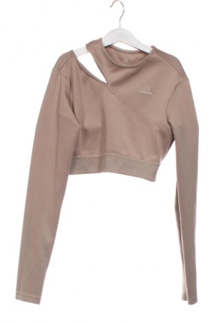 Damen Shirt Adidas, Größe S, Farbe Braun, Preis € 46,65