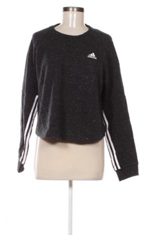 Damen Shirt Adidas, Größe L, Farbe Mehrfarbig, Preis € 33,99