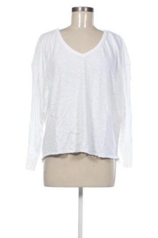 Damen Shirt American Vintage, Größe L, Farbe Weiß, Preis € 75,99