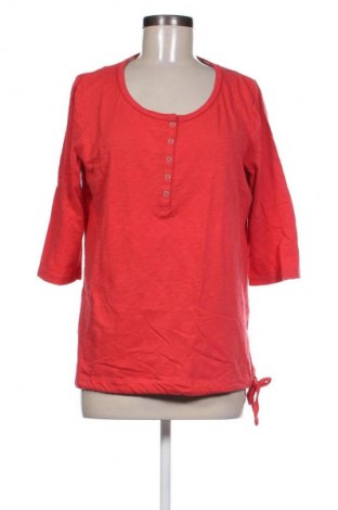 Damen Shirt Cecil, Größe L, Farbe Rot, Preis € 11,99