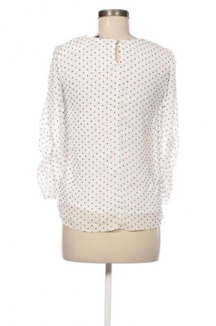 Дамска блуза Dorothy Perkins, Размер M, Цвят Многоцветен, Цена 27,99 лв.
