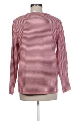 Bluzka damska Edc By Esprit, Rozmiar XXL, Kolor Kolorowy, Cena 177,33 zł
