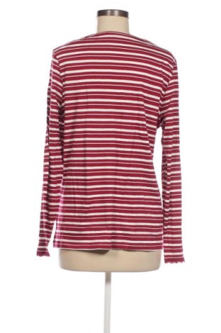 Damen Shirt Esmara, Größe L, Farbe Mehrfarbig, Preis 9,72 €