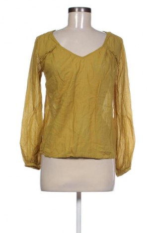 Damen Shirt Etam, Größe XS, Farbe Grün, Preis € 15,99