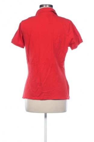 Damen Shirt Fruit Of The Loom, Größe L, Farbe Rot, Preis € 8,99