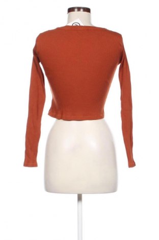Damen Shirt Haily`s, Größe M, Farbe Braun, Preis € 11,99
