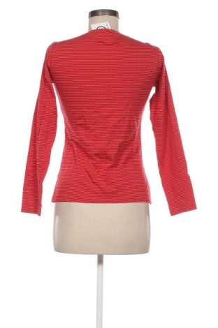 Damen Shirt LC Waikiki, Größe S, Farbe Mehrfarbig, Preis € 13,99