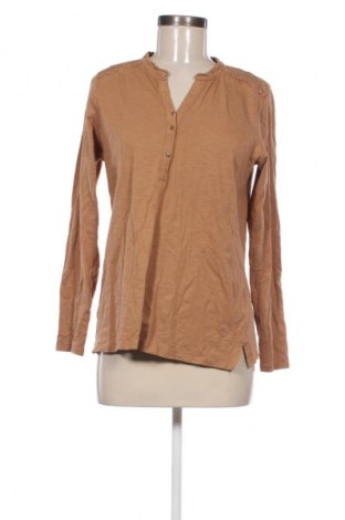 Damen Shirt Laura Torelli, Größe M, Farbe Braun, Preis € 6,99
