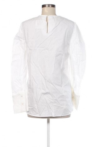 Damen Shirt Mango, Größe M, Farbe Weiß, Preis € 8,99