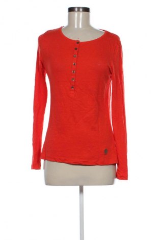 Damen Shirt Massimo Dutti, Größe M, Farbe Orange, Preis € 33,99