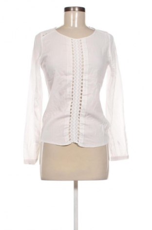 Damen Shirt Mexx, Größe XS, Farbe Weiß, Preis € 8,99