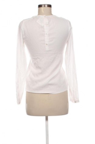 Damen Shirt Mexx, Größe XS, Farbe Weiß, Preis € 8,99