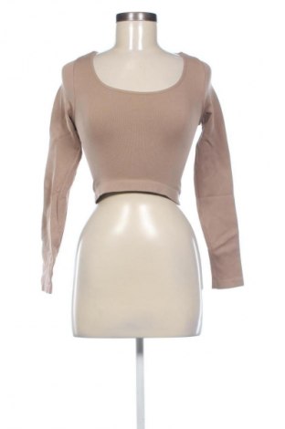Damen Shirt Primark, Größe S, Farbe Braun, Preis € 6,99