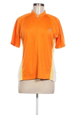 Damen Shirt Shamp, Größe M, Farbe Mehrfarbig, Preis € 8,99