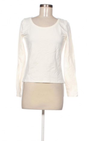 Damen Shirt Sinsay, Größe L, Farbe Ecru, Preis € 6,99