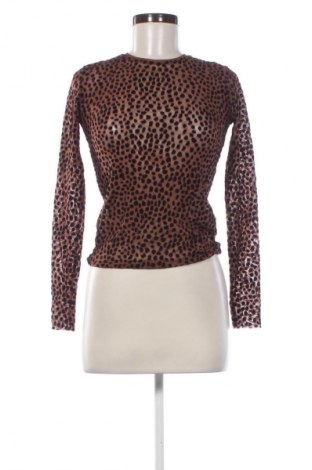 Damen Shirt Stradivarius, Größe S, Farbe Mehrfarbig, Preis 13,99 €