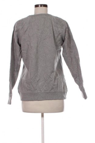 Damen Shirt Superdry, Größe M, Farbe Grau, Preis € 9,99