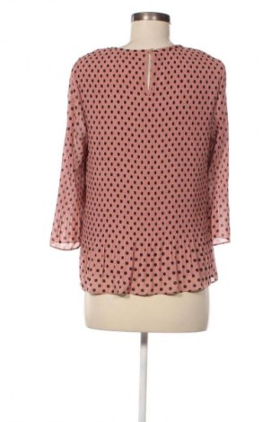 Damen Shirt Ted Baker, Größe M, Farbe Mehrfarbig, Preis € 68,99