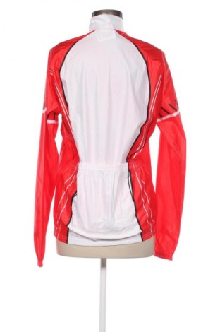 Damen Shirt Unbranded, Größe L, Farbe Mehrfarbig, Preis € 7,99