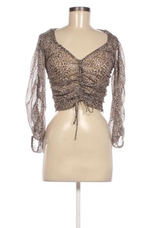 Damen Shirt Zara, Größe XS, Farbe Mehrfarbig, Preis € 9,99