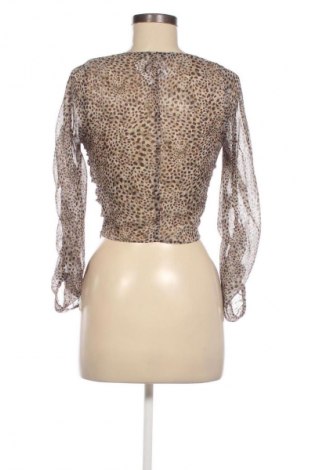 Damen Shirt Zara, Größe XS, Farbe Mehrfarbig, Preis € 9,99