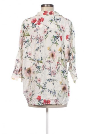 Damen Shirt Zara, Größe XL, Farbe Mehrfarbig, Preis € 11,99