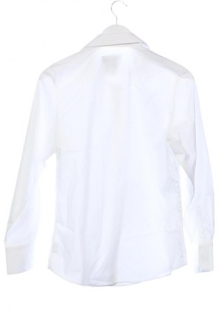 Damenbluse Bosweel, Größe XS, Farbe Weiß, Preis € 20,99