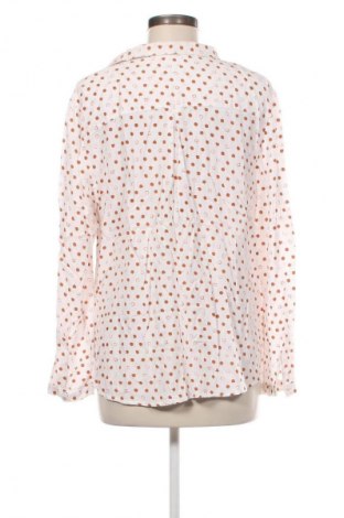 Damenbluse Cecil, Größe XL, Farbe Mehrfarbig, Preis € 12,99