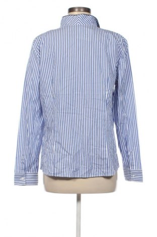 Damenbluse Christian Berg, Größe L, Farbe Mehrfarbig, Preis € 23,99