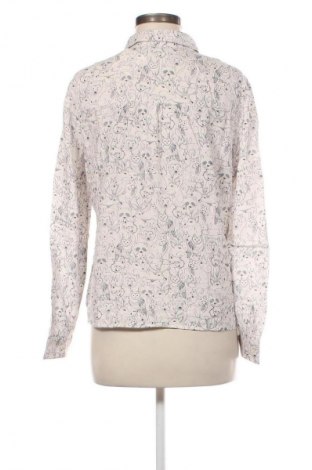 Damenbluse Clockhouse, Größe M, Farbe Mehrfarbig, Preis € 12,20
